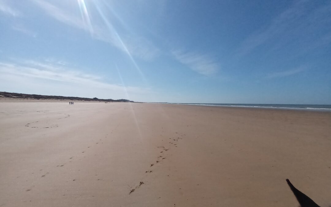 Promenades Plage Juillet Août 2023