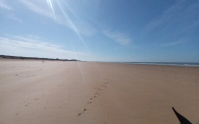 Promenades Plage Juillet Août 2023