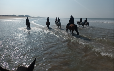 Promenades Plage Avril Mai 2024