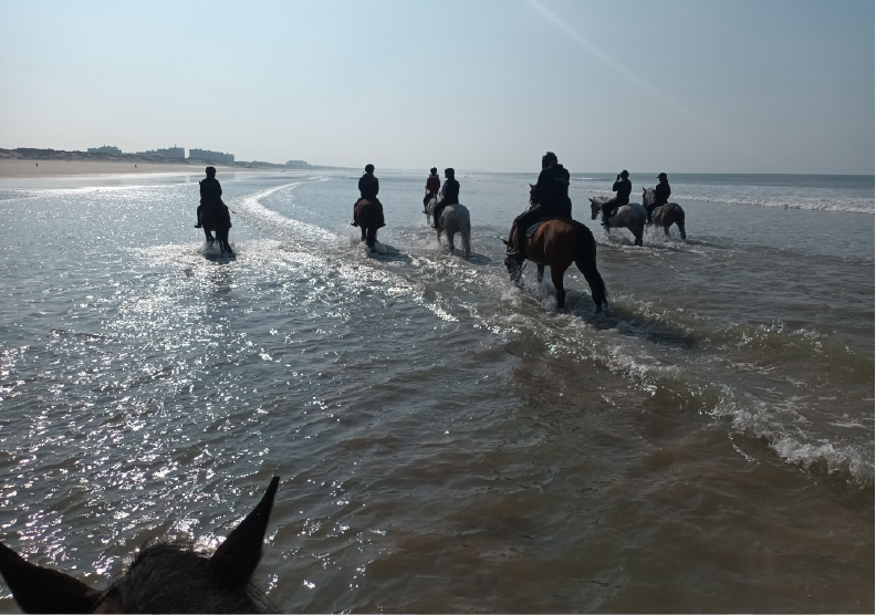 Promenades Plage juillet août 2024.