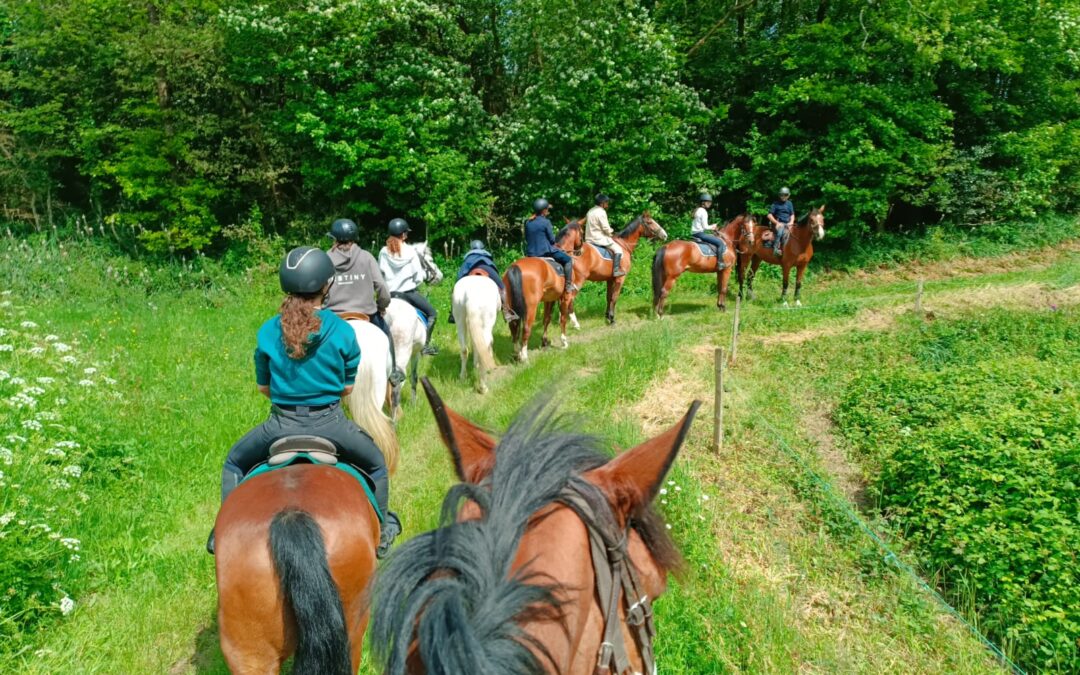 Promenade Marais Forêt 20 juillet
