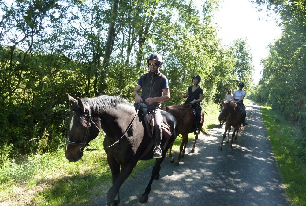 Randonnée poney juillet 2024