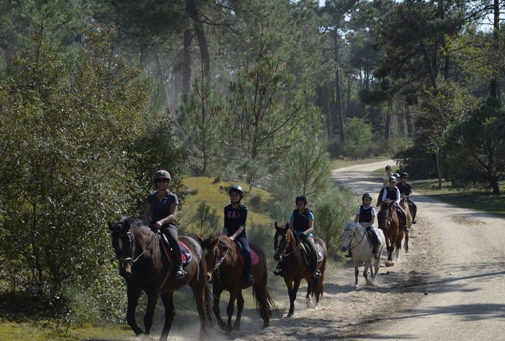 Promenades forêt avril à juin