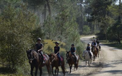 Promenades forêt avril à juin